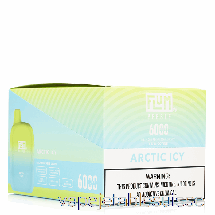 Vape Suisse [10-pack] Flum Galet 6000 Jetable